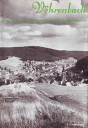 F.J. Furtwängler - Stadtchronik 1961 (Band I.)