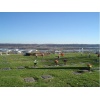 Linwood Cemetery - Dubuque - Dubuque County - Iowa, USA. ©Find A Grave Memorial